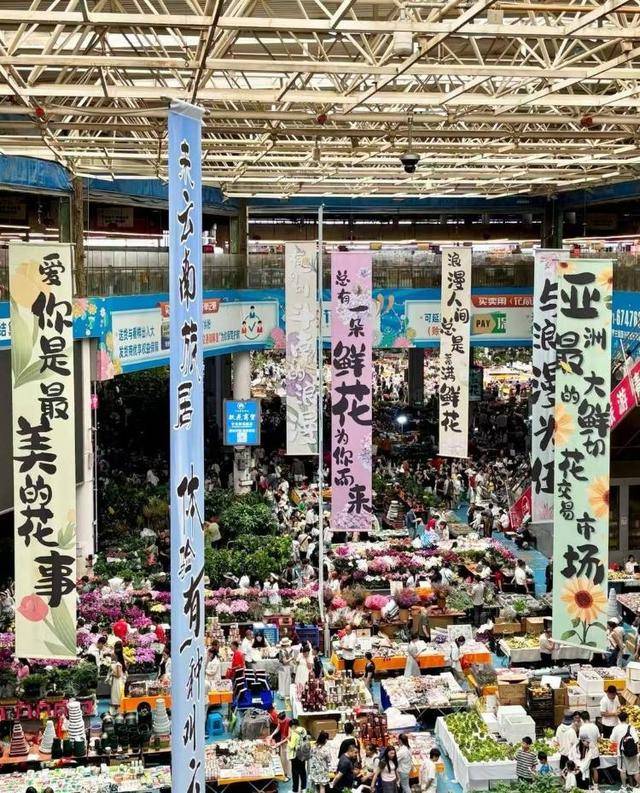 七夕不送玫瑰改送花菜<strong></p>
<p>虚拟币火宝网</strong>！这一届年轻人“反套路”重新定义浪漫