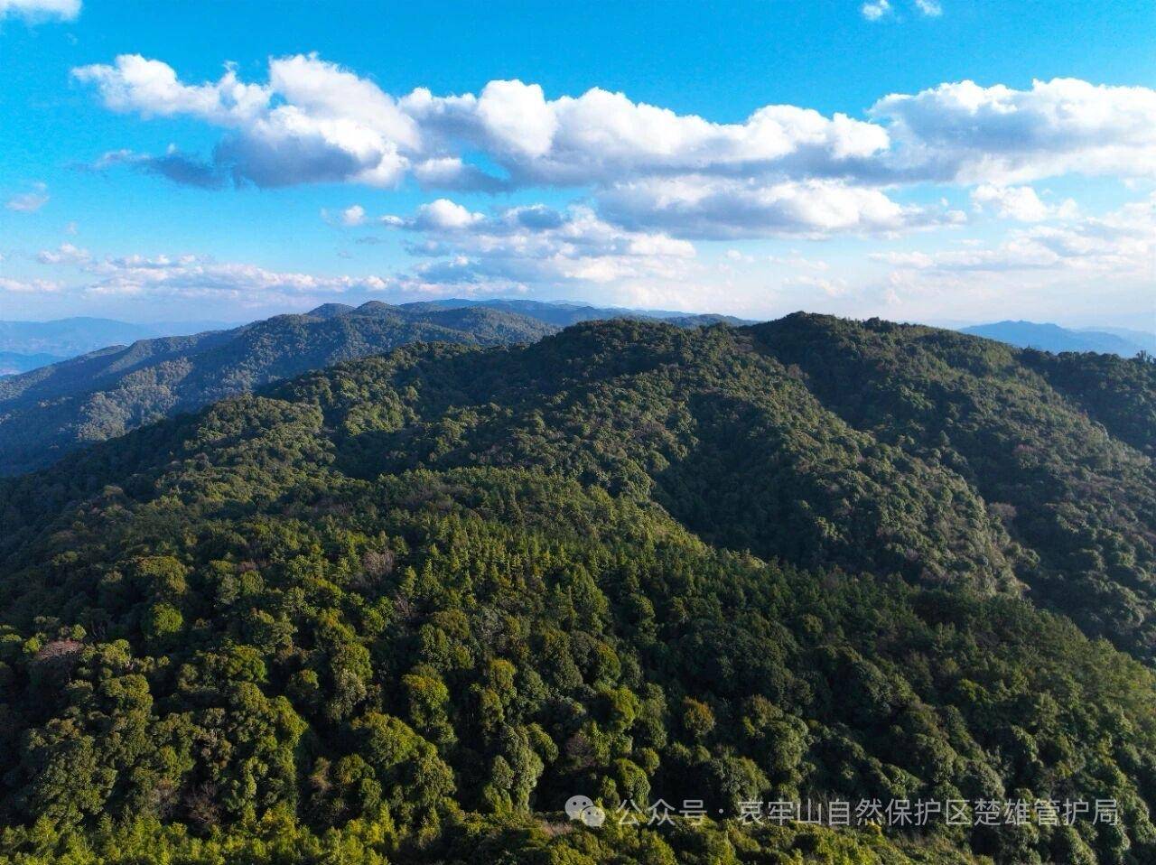 云南哀牢山新规出台：禁止任何单位和个人擅入哀牢山自然保护区<strong></p>
<p>虚拟币泡沫</strong>，从事科研活动须报批