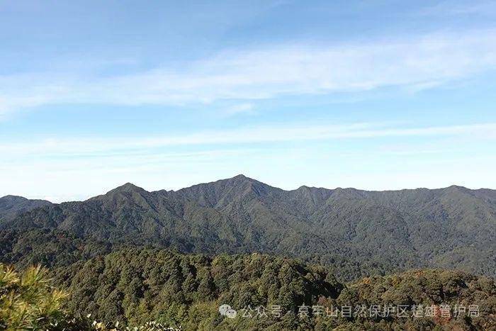 云南哀牢山新规出台：禁止任何单位和个人擅入哀牢山自然保护区<strong></p>
<p>虚拟币泡沫</strong>，从事科研活动须报批