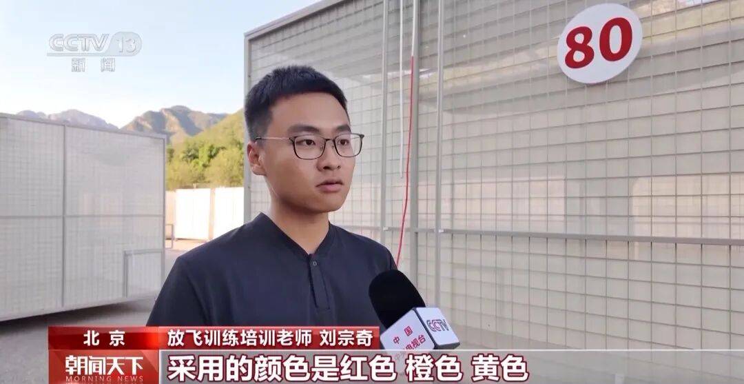 明天将放飞8万羽和平鸽、8万只气球<strong></p>
<p>虚拟币泡沫</strong>，揭秘！