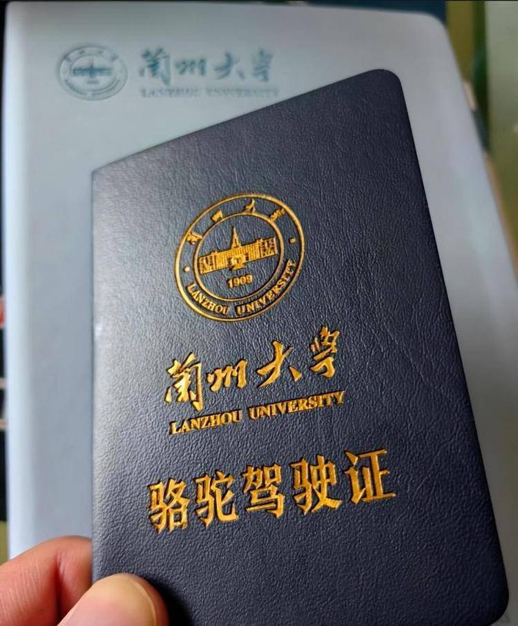 一人一驼<strong></p>
<p>虚拟币泡沫</strong>，骆驼尾气排放超标要扣分？兰大回应学生持证骑骆驼上学：骆驼驾驶证为学校文创，非官方证件