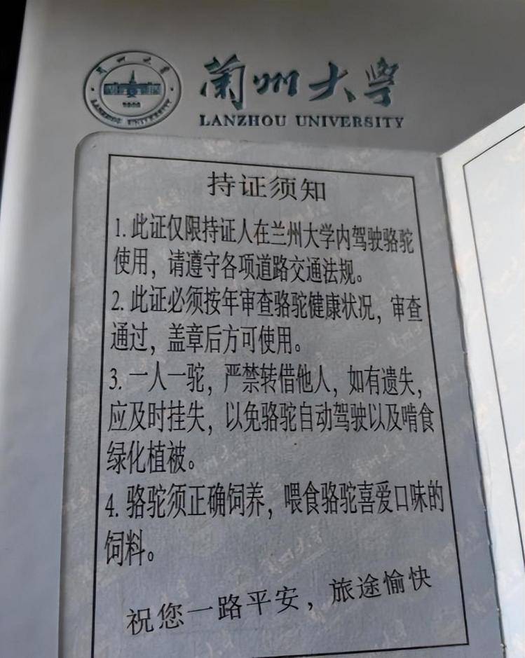 一人一驼<strong></p>
<p>虚拟币泡沫</strong>，骆驼尾气排放超标要扣分？兰大回应学生持证骑骆驼上学：骆驼驾驶证为学校文创，非官方证件