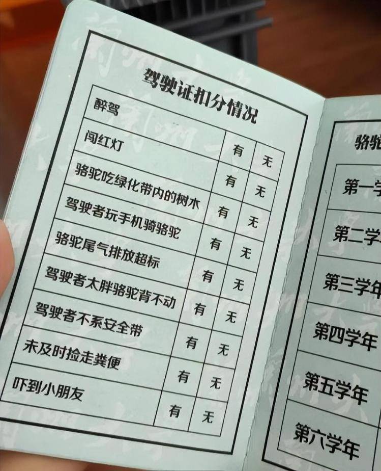 一人一驼<strong></p>
<p>虚拟币泡沫</strong>，骆驼尾气排放超标要扣分？兰大回应学生持证骑骆驼上学：骆驼驾驶证为学校文创，非官方证件