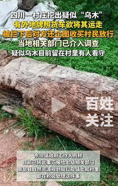 四川一村庄疑挖出珍贵乌木<strong></p>
<p>虚拟币泡沫</strong>，有人想运走被拦下，当地回应
