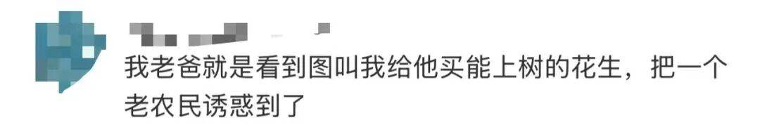 “花生上树”闹剧：AI翻车背后<strong></p>
<p>彩币虚拟币</strong>，我们都在弄丢常识？