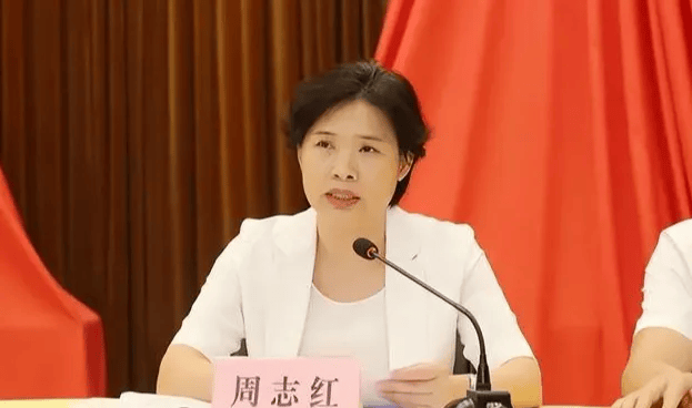 中共中央批准<strong></p>
<p>虚拟币咨询</strong>，开除周志红党籍