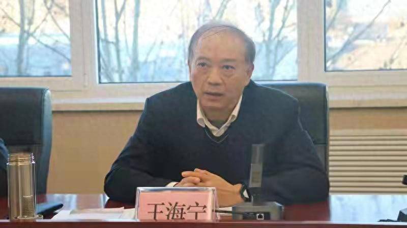 涉嫌严重违纪违法！王海宁<strong></p>
<p>虚拟币咨询</strong>，被查