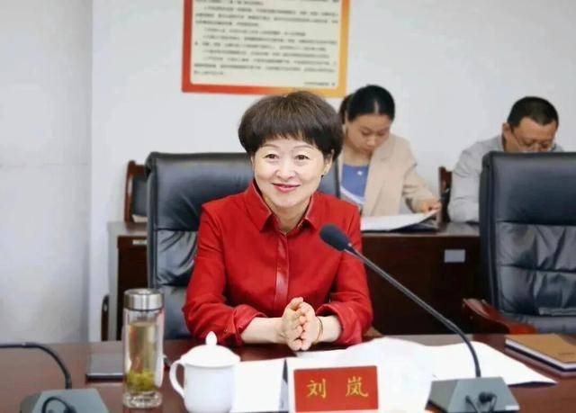 刘岚<strong></p>
<p>虚拟币炒作</strong>，在处长、副市长等任上敛财数额特别巨大
