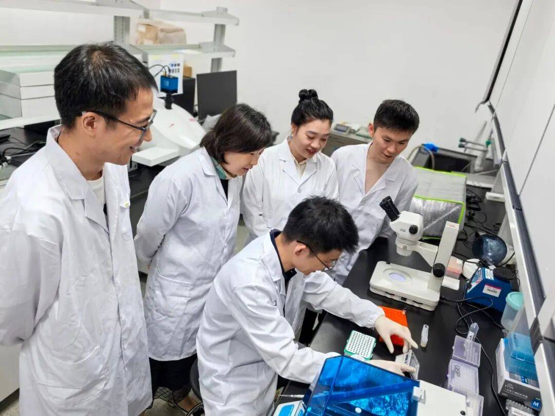 重磅<strong></p>
<p>虚拟贷币</strong>！山东农大科研团队破解一科学界百年未解之谜