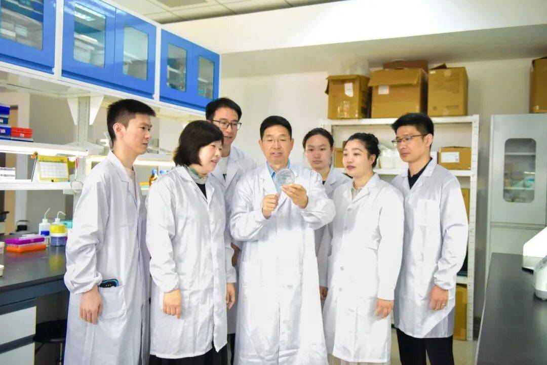 重磅<strong></p>
<p>虚拟贷币</strong>！山东农大科研团队破解一科学界百年未解之谜