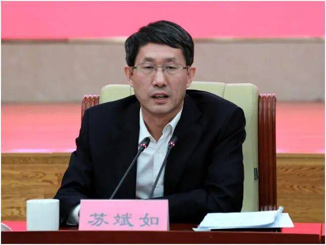 首次披露：苏斌如<strong></p>
<p>虚拟币研发</strong>，已落马