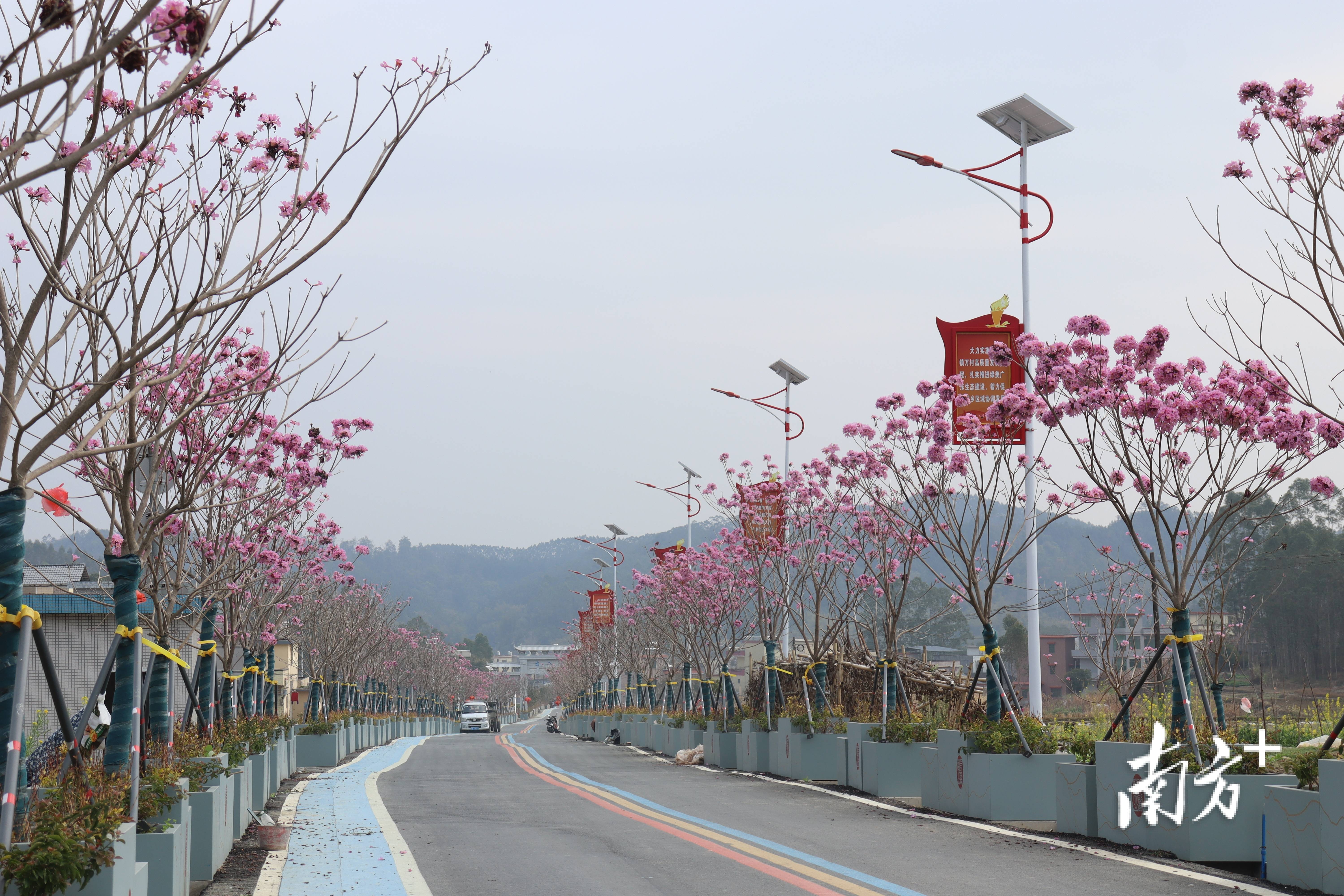 “外来媳妇”谭焕贞五年深耕<strong></p>
<p>买卖虚拟币</strong>，佛冈高岗宝山村换新貌