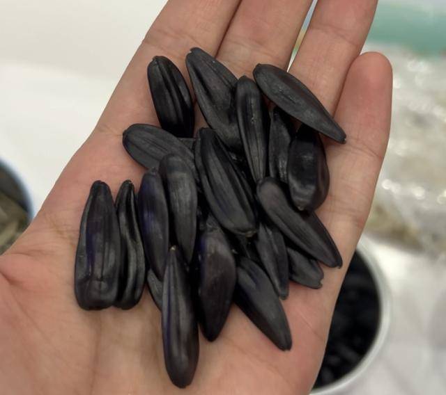 紫色向日葵、多彩胡萝卜、双色火龙果亮相青岛<strong></p>
<p>买卖虚拟币</strong>，种子盛会变身“未来食物实验室”