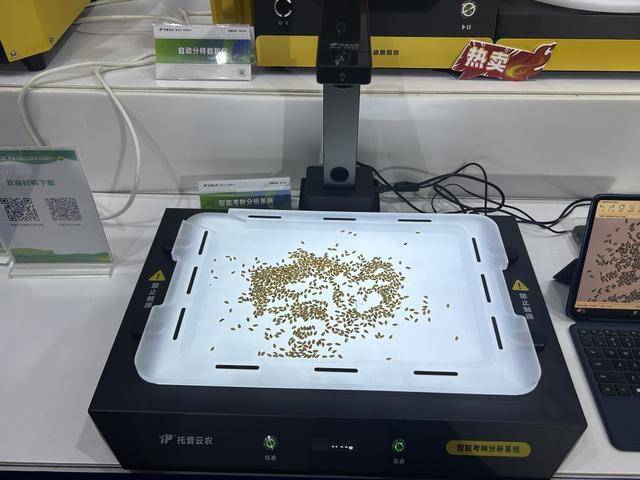 紫色向日葵、多彩胡萝卜、双色火龙果亮相青岛<strong></p>
<p>买卖虚拟币</strong>，种子盛会变身“未来食物实验室”
