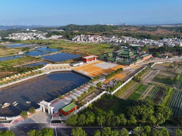这个经济大省<strong></p>
<p>虚拟币推广</strong>，为何多地镇街撤并？