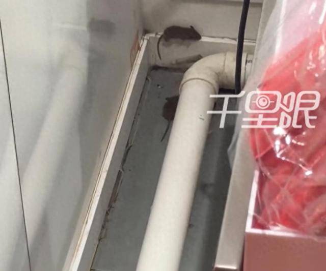 网曝蜜雪冰城一门店有多只老鼠横行<strong></p>
<p>龙币虚拟货币</strong>，涉事门店员工回应