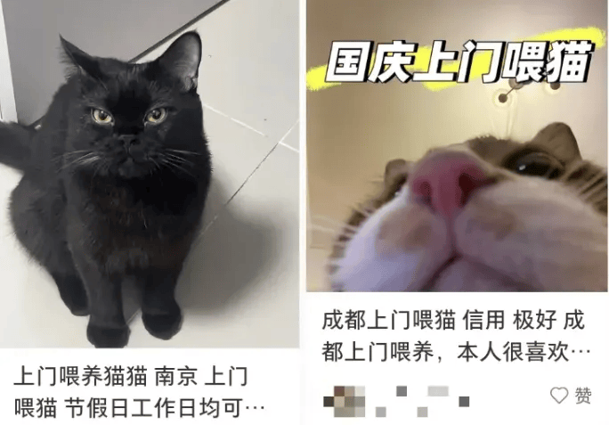 这个需求激增！一男子连接270单<strong></p>
<p>中国虚拟币有哪些</strong>，其中一笔收费8100元