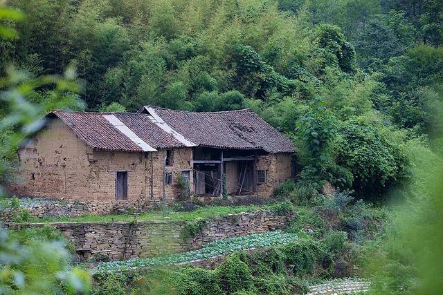 没人住的房子<strong></p>
<p>中国虚拟币有哪些</strong>，为什么会“老”得特别快？