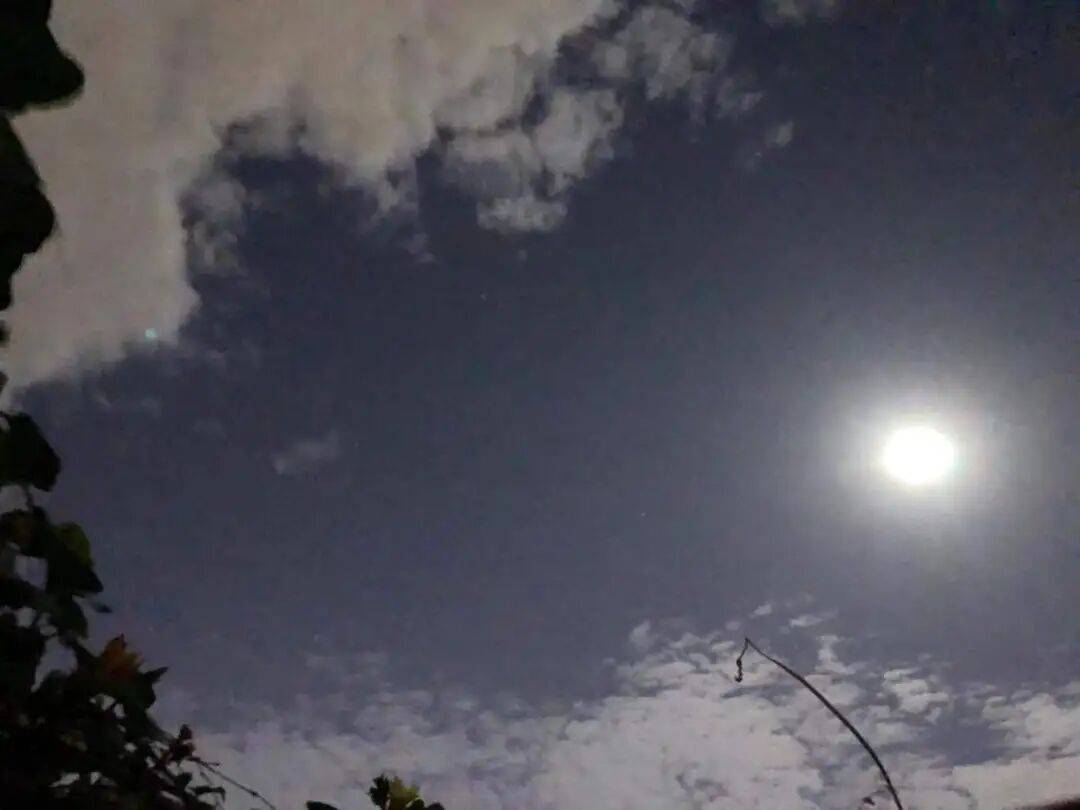 没有什么能阻挡！今天<strong></p>
<p>中国虚拟币有哪些</strong>，广西人就是要回家！