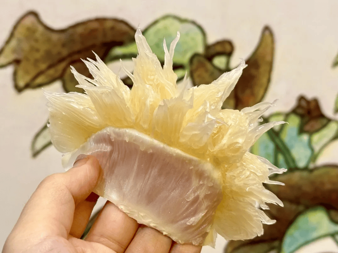 没有什么能阻挡！今天<strong></p>
<p>中国虚拟币有哪些</strong>，广西人就是要回家！