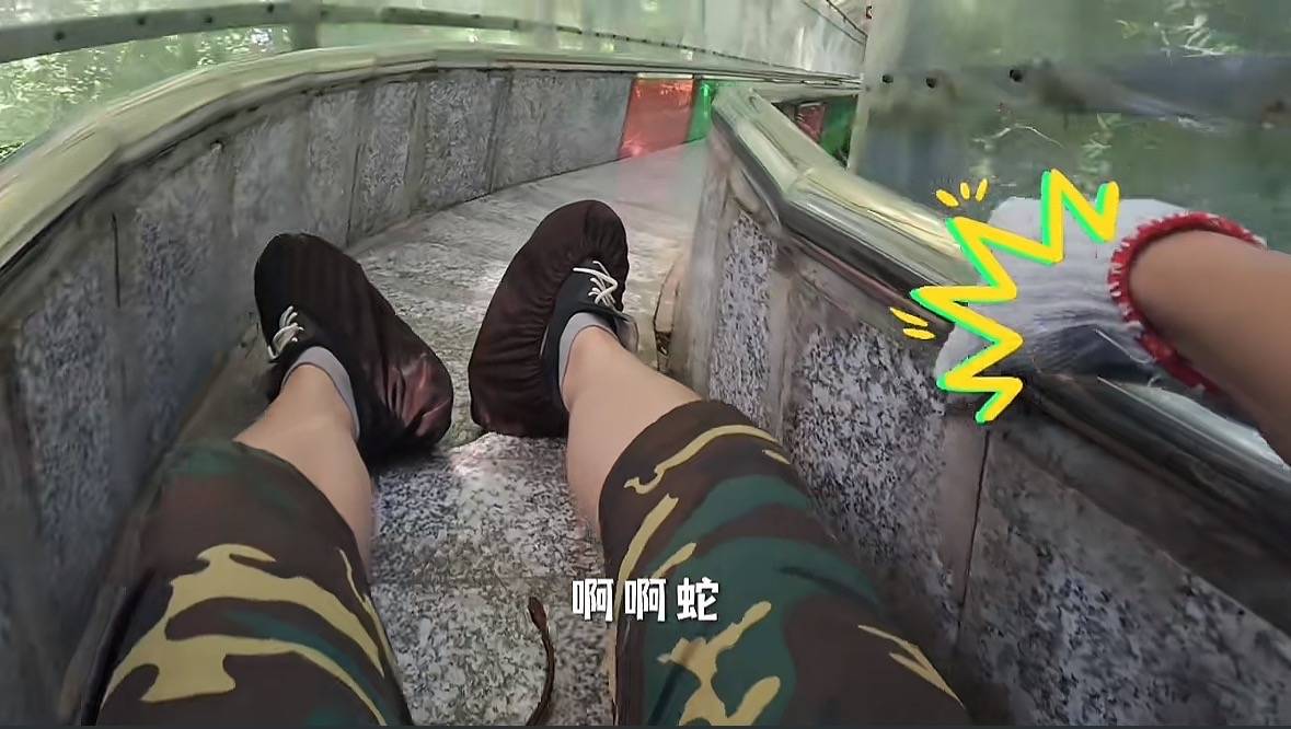 游客称在广西丹炉山滑道遇蛇<strong></p>
<p>虚拟币买哪个</strong>，景区致歉：这么多年就这一次，每年都做防蛇处理