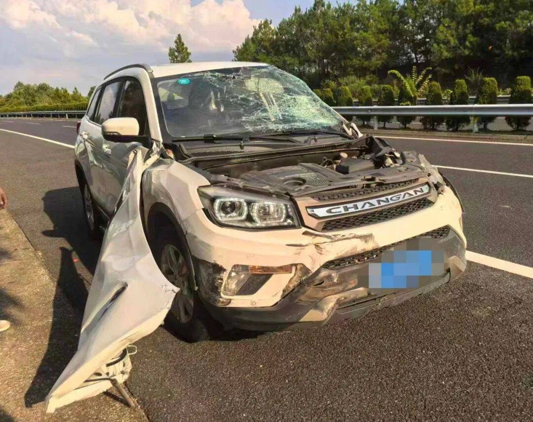 “我撒谎天打雷劈！”男子高速突然强行变道致翻车<strong></p>
<p>熵虚拟币</strong>，反诬赖对方