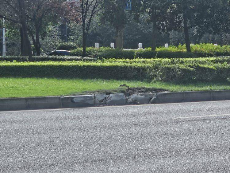 成都发生一起严重交通事故<strong></p>
<p>聚币网虚拟币</strong>，上游新闻实地探访：燃烧留下的印记仍在