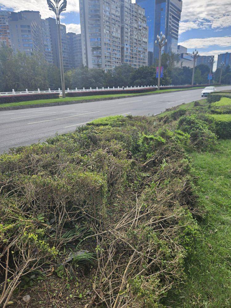 成都发生一起严重交通事故<strong></p>
<p>聚币网虚拟币</strong>，上游新闻实地探访：燃烧留下的印记仍在