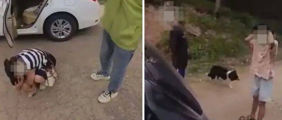 深圳一市民突遭马蜂围袭！已进入高发期<strong></p>
<p>聚币网虚拟币</strong>，千万别招惹！