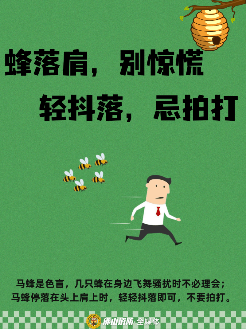 深圳一市民突遭马蜂围袭！已进入高发期<strong></p>
<p>聚币网虚拟币</strong>，千万别招惹！