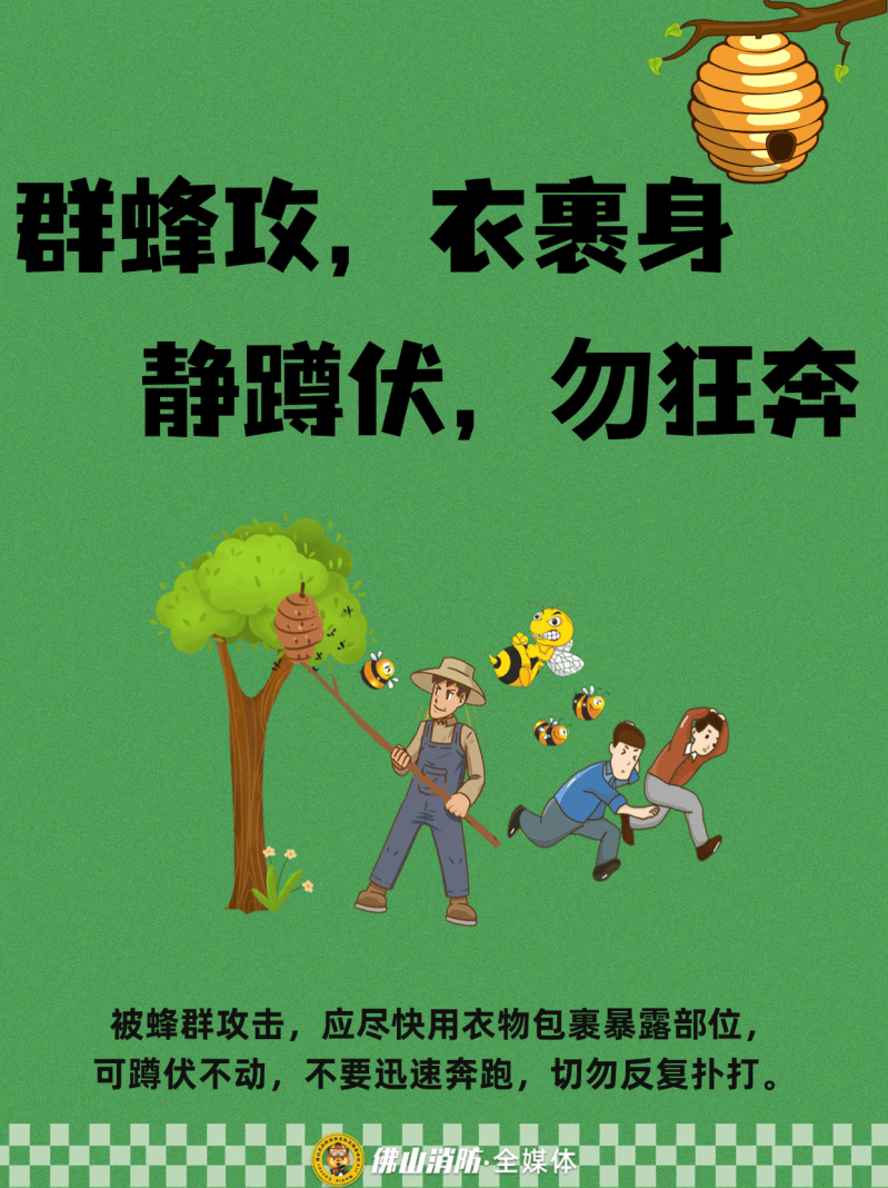 深圳一市民突遭马蜂围袭！已进入高发期<strong></p>
<p>聚币网虚拟币</strong>，千万别招惹！