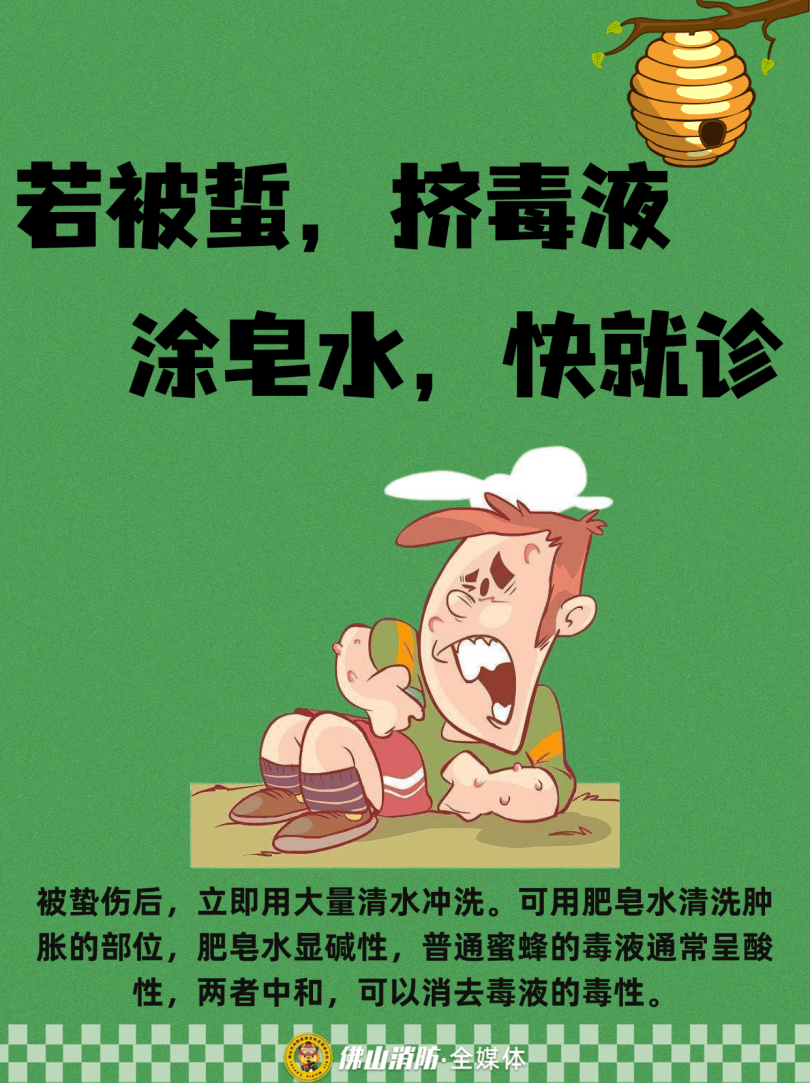 深圳一市民突遭马蜂围袭！已进入高发期<strong></p>
<p>聚币网虚拟币</strong>，千万别招惹！