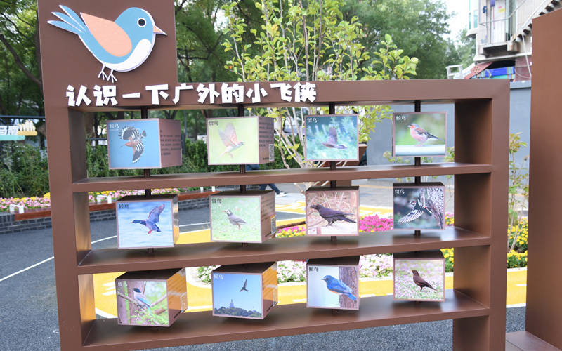 西城区广外街道：“断头路”变身口袋公园<strong></p>
<p>虚拟币的作用</strong>，装满民生“微幸福”