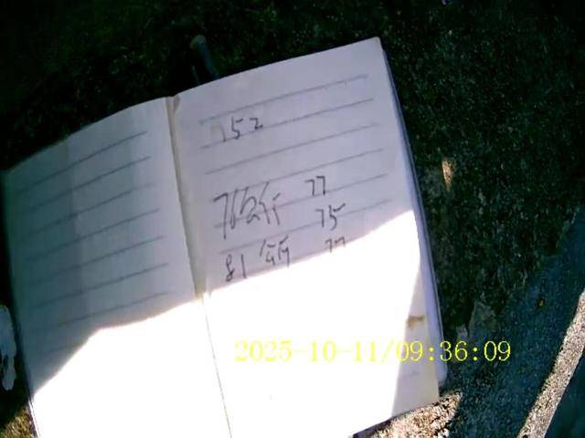 100斤玉米上秤秒变60斤?贵州一村民遭“鬼秤”骗粮!民警出手<strong></p>
<p>虚拟币怎么投资</strong>,5人被拘