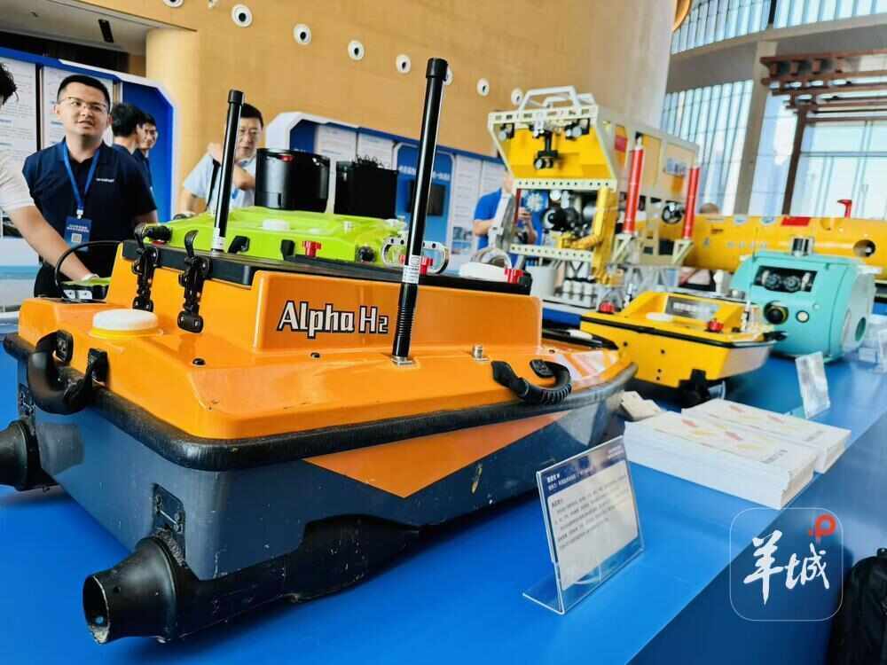 共享蓝色机遇<strong></p>
<p>虚拟币怎么投资</strong>,2025年粤港澳海洋合作发展论坛在穗举办