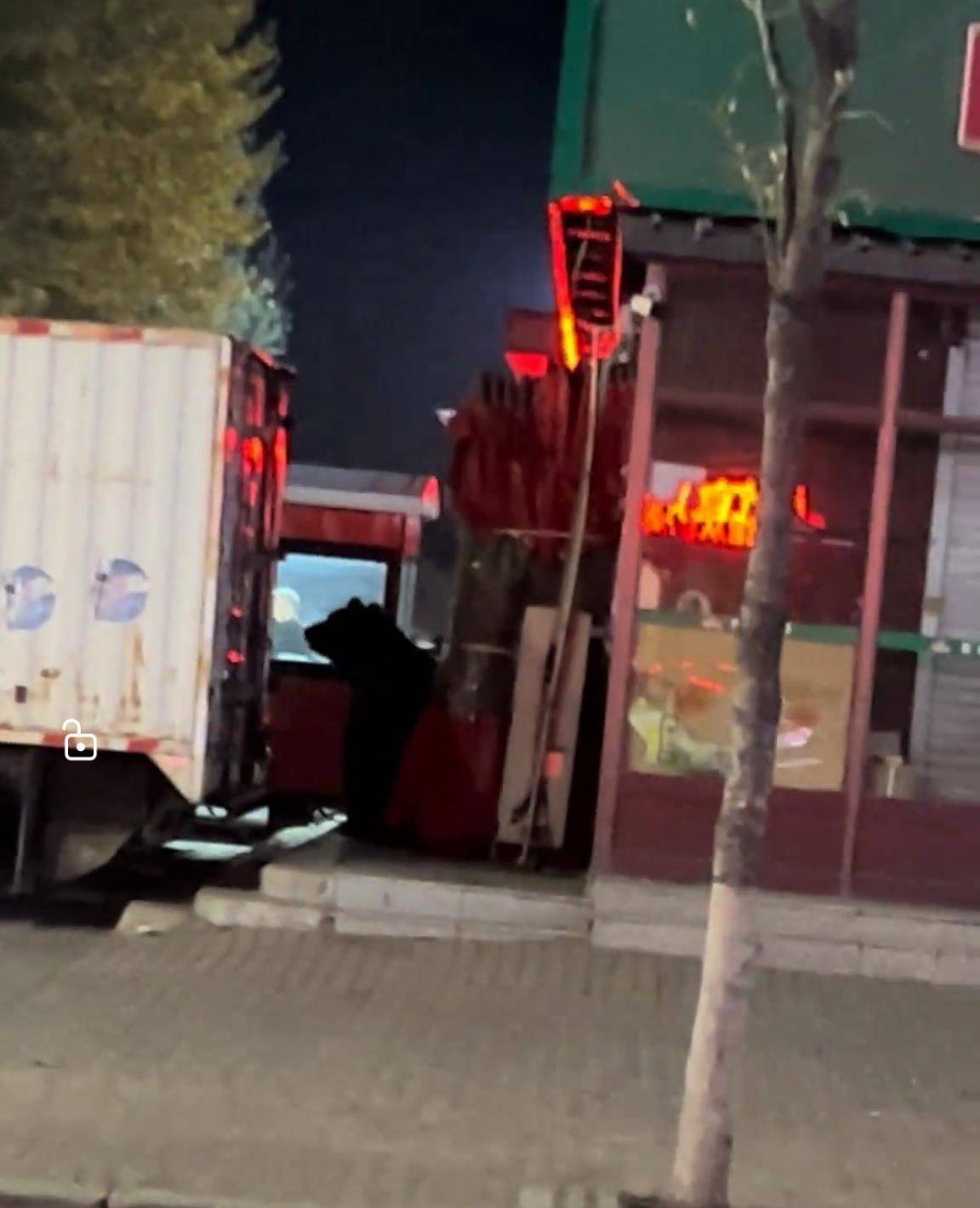 大黑熊夜里独闯黑龙江一县城闹市区<strong></p>
<p>虚拟币走势图</strong>，警方连开10多枪击毙，回应为何没用麻醉枪