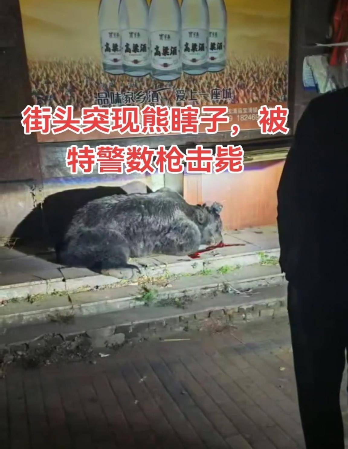 大黑熊夜里独闯黑龙江一县城闹市区<strong></p>
<p>虚拟币走势图</strong>，警方连开10多枪击毙，回应为何没用麻醉枪