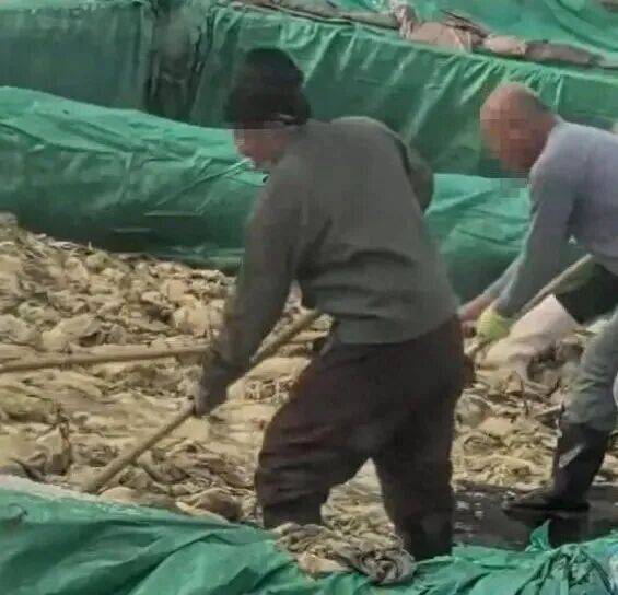 男子在酸菜池内抽烟吐痰<strong></p>
<p>怎样买虚拟币</strong>,官方通报!