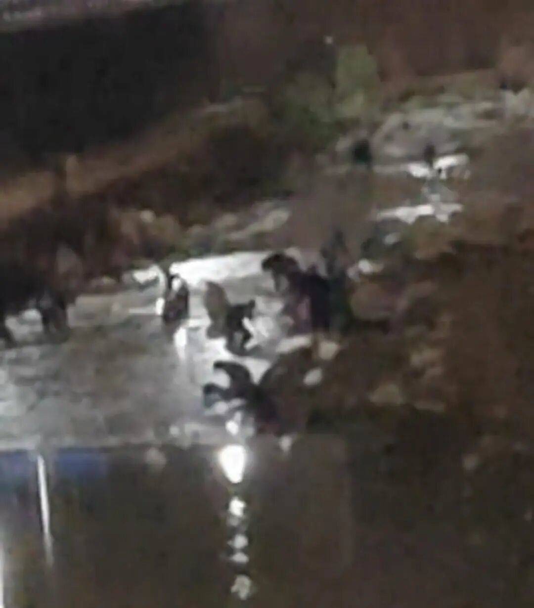 “一盆出5克多”<strong></p>
<p>虚拟币push</strong>,多人凌晨下河淘金!当地警方回应