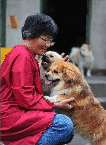 合肥卖房救助流浪狗的魏阿姨离世<strong></p>
<p>虚拟币ZEC</strong>，病中仍然惦记着基地的600只流浪狗，工人：不敢相信世上还有这样执着的人