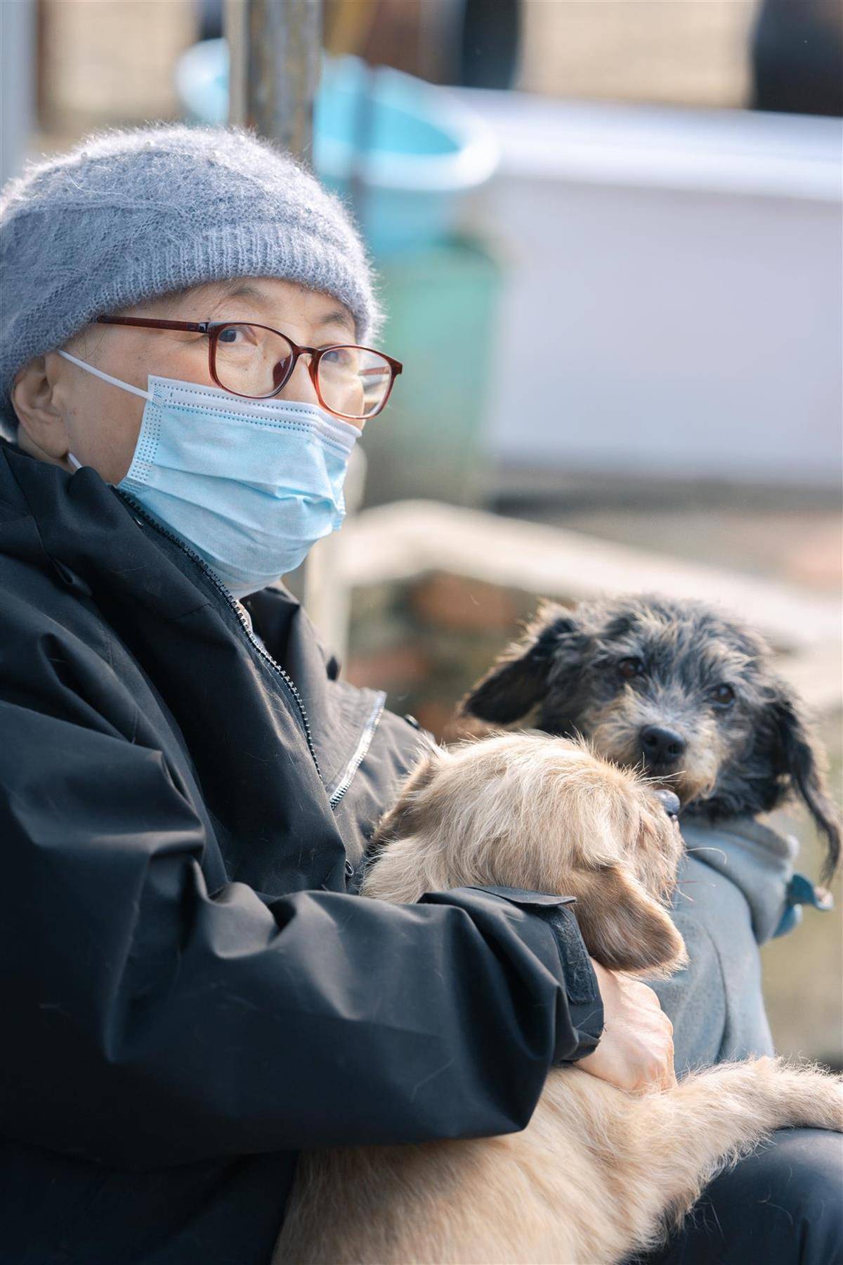 合肥卖房救助流浪狗的魏阿姨离世<strong></p>
<p>虚拟币ZEC</strong>，病中仍然惦记着基地的600只流浪狗，工人：不敢相信世上还有这样执着的人