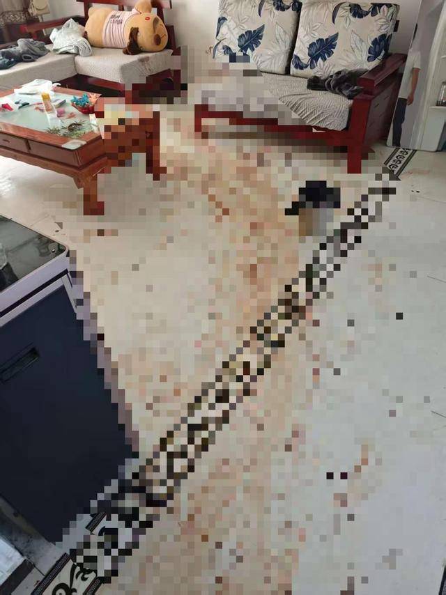 “女子出租屋遭男友持刀杀害”案明日开庭<strong></p>
<p>国家禁止虚拟币</strong>,家属发声:凶手从未道歉,我们不会谅解