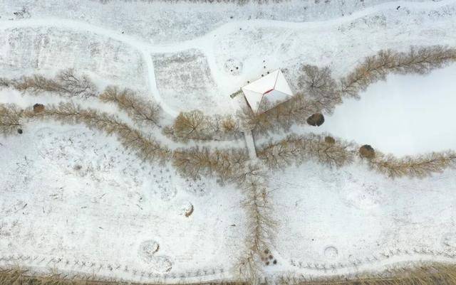 百年难遇“早立冬”来了<strong></p>
<p>国家禁止虚拟币</strong>！有啥讲究？早看早准备！