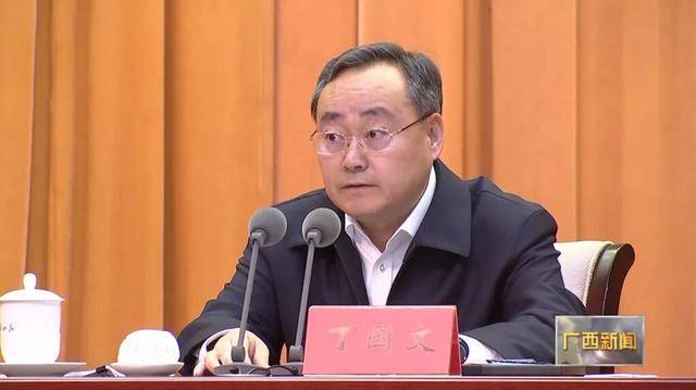 丁国文,已任中央改革办专职副主任