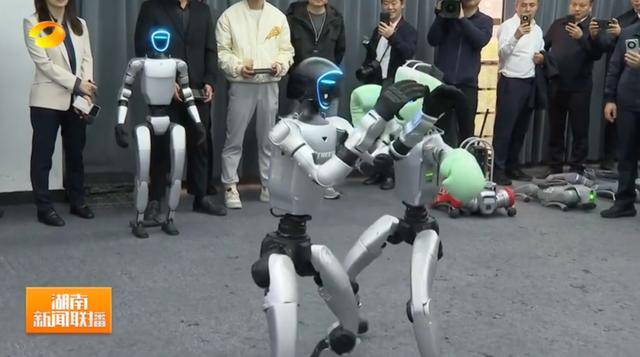 湖南省省长、浙江省省长<strong></p>
<p>九龙币虚拟</strong>,一同观看机器人表演