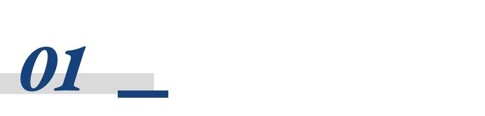 万亿机器人赛道<strong></p>
<p>马吉贝虚拟币</strong>,谁是背后金主?