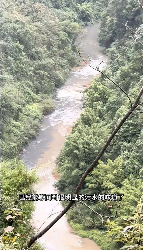 重庆通报:坚决查处<strong></p>
<p>马吉贝虚拟币</strong>,绝不姑息