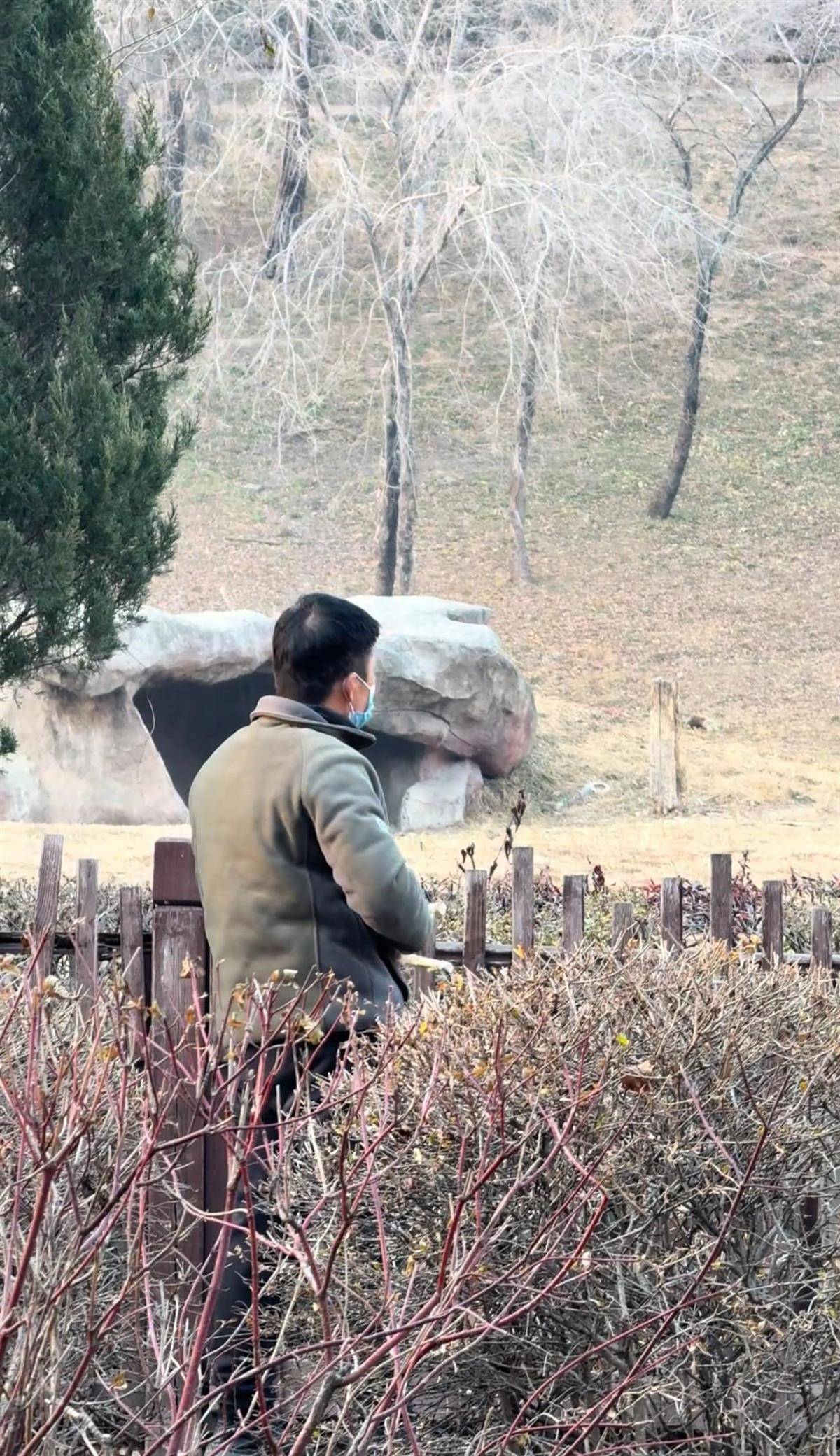 沈阳一男子动物园内用弹弓射老虎<strong></p>
<p>虚拟q币充值器</strong>,目击者称其“填装了弹丸”,打完后老虎爬起来了,园方:正在核实情况