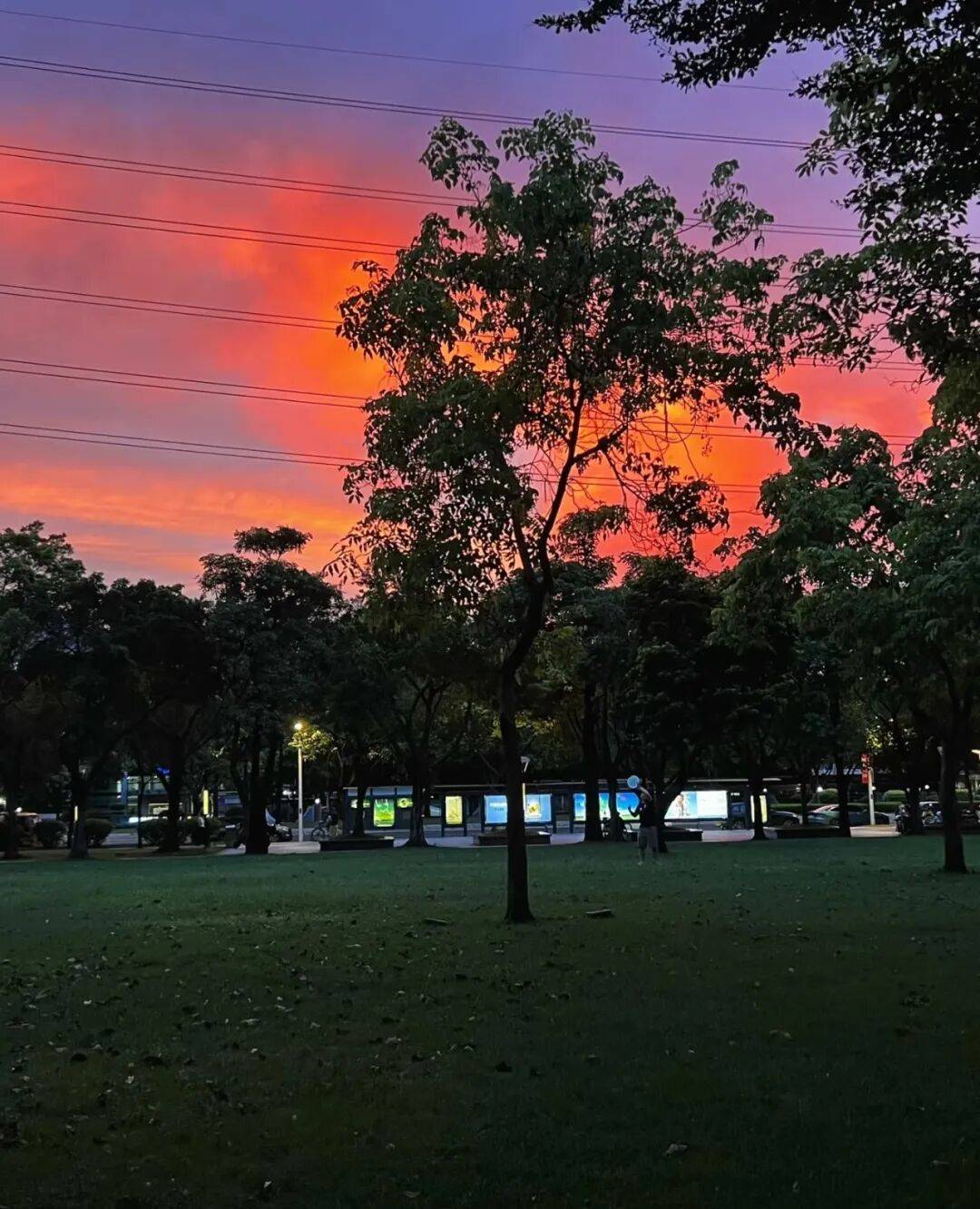 第一批丁克老后<strong></p>
<p>虚拟q币充值器</strong>,“伴侣能陪一程,但最后都要靠自己”