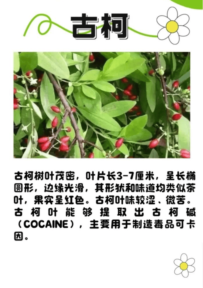 悬赏1500万美金!前奥运选手涉多起案件<strong></p>
<p>虚拟币名字</strong>,被列入十大通缉犯